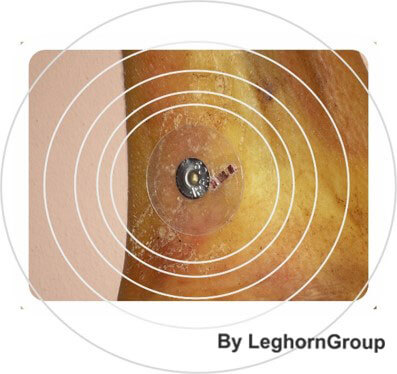 https://leghorngroup.com/wp-content/uploads/2020/09/traceability-of-hams-with-rfid-technology-05.jpg